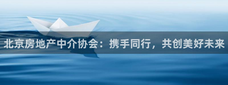 天狮娱乐待遇怎么样：北京房地产中介协会：携手同行，共创美好未
