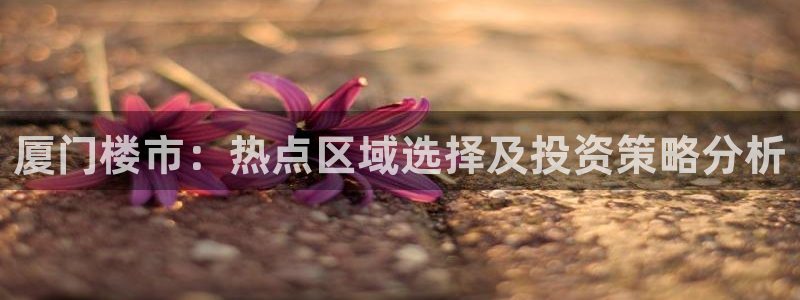 天狮娱乐炔wx15 net：厦门楼市：热点区域选择及投资策略