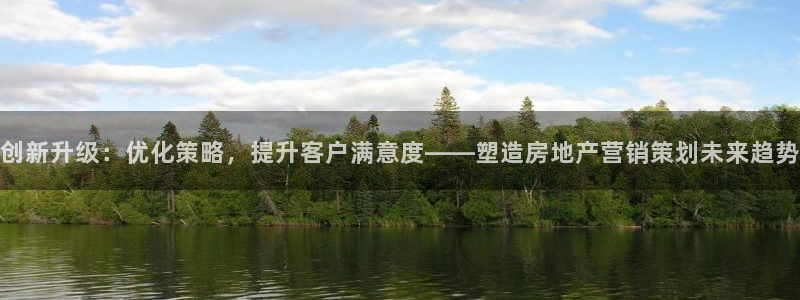 天狮平台娱乐：创新升级：优化策略，提升客户满意度——塑造房地