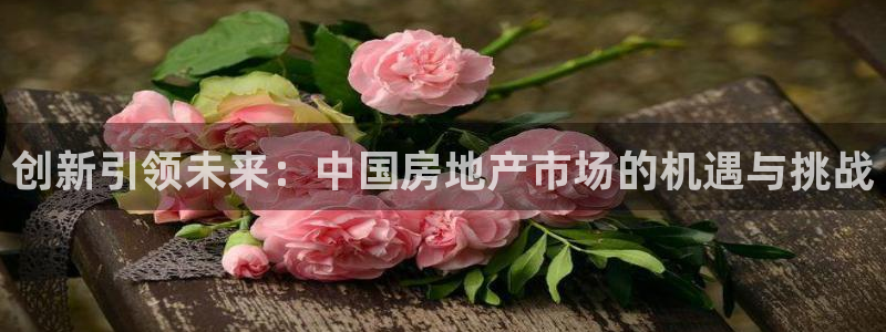 天狮娱乐b 判官是什么：创新引领未来：中国房地产市场的机遇与