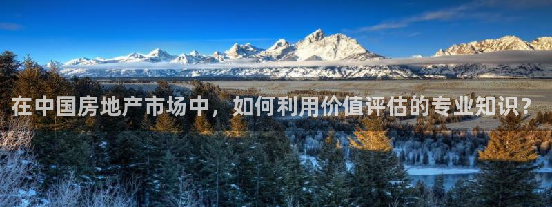 天狮娱乐网：在中国房地产市场中，如何利用价值评估的专业知识？