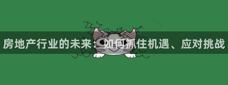 天狮国际娱乐：房地产行业的未来：如何抓住机遇、应对挑战