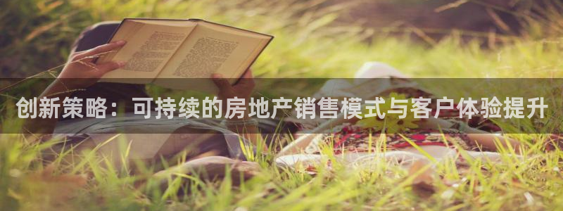 龙湖狮山天街苏州娱乐：创新策略：可持续的房地产销售模式与客户