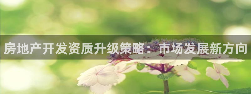 天狮娱乐主管q42862s：房地产开发资质升级策略：市场发展