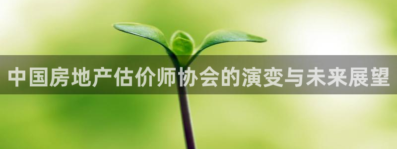 天狮娱乐招代理：中国房地产估价师协会的演变与未来展望