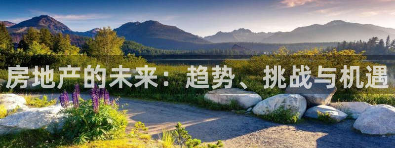 天狮娱乐代理：房地产的未来：趋势、挑战与机遇