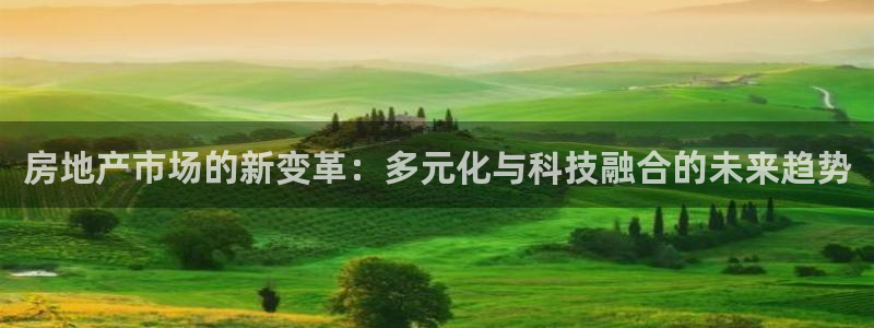 天狮娱乐年：房地产市场的新变革：多元化与科技融合的未来趋势