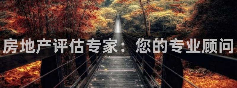 天狮娱乐c OO判官：房地产评估专家：您的专业顾问