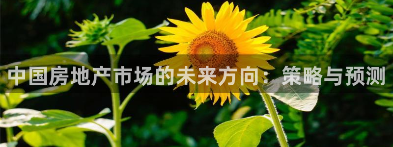 苏州狮山龙湖天街娱乐：中国房地产市场的未来方向：策略与预测