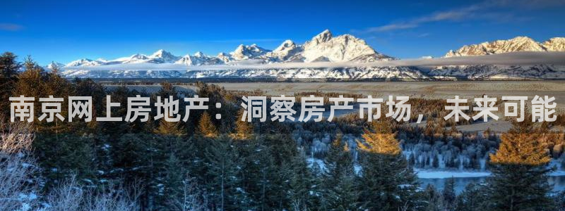 天狮娱乐平台登录：南京网上房地产：洞察房产市场，未来可能