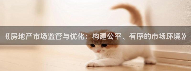 天狮娱乐p实 权：《房地产市场监管与优化：构建公平、有序的市