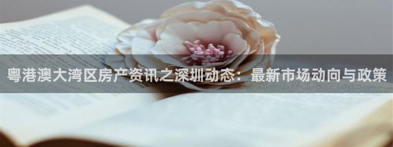 天狮娱乐真的假的：粤港澳大湾区房产资讯之深圳动态：最新市场动