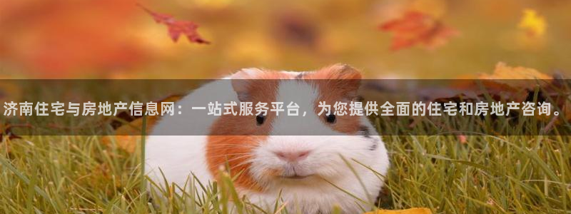 天狮娱乐网站：济南住宅与房地产信息网：一站式服务平台，为您提