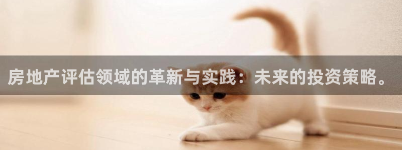 天狮娱乐招代理：房地产评估领域的革新与实践：未来的投资策略。