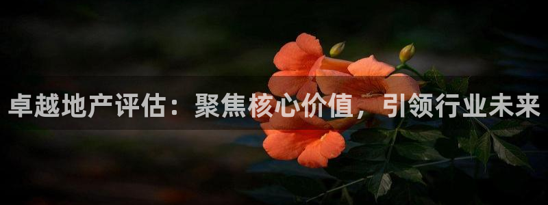 天狮娱乐 a主57661管：卓越地产评估：聚焦核心价值，引领