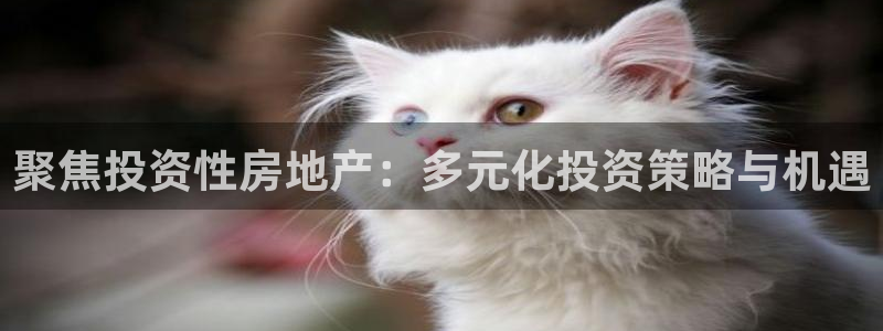 天狮娱乐 卧j主管60447：聚焦投资性房地产：多元化投资策