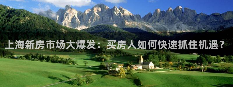 天狮娱乐平台多久：上海新房市场大爆发：买房人如何快速抓住机遇