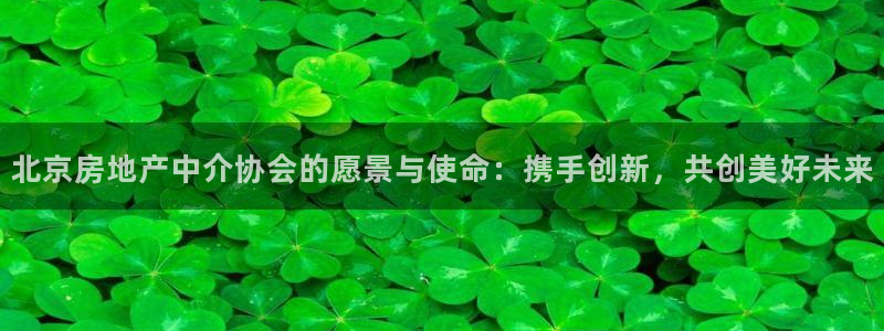 天狮娱乐招代理：北京房地产中介协会的愿景与使命：携手创新，共