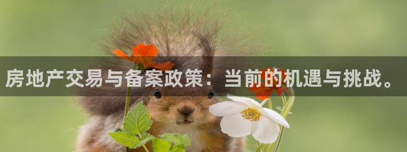 天狮娱乐是私人平台吗