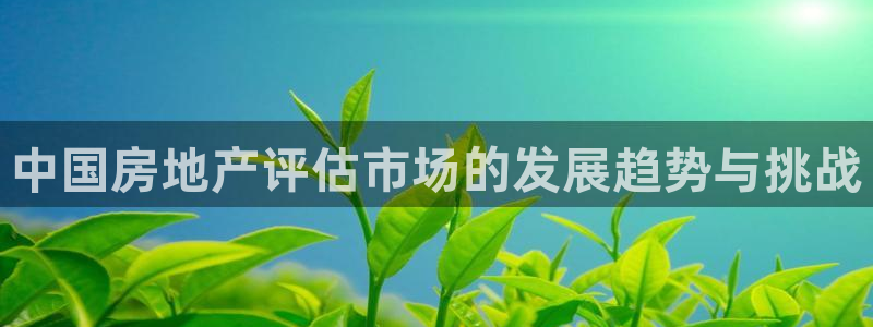 天狮娱乐注册官方网站：中国房地产评估市场的发展趋势与挑战