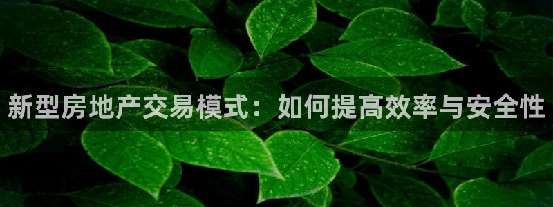 天狮娱乐会所：新型房地产交易模式：如何提高效率与安全性