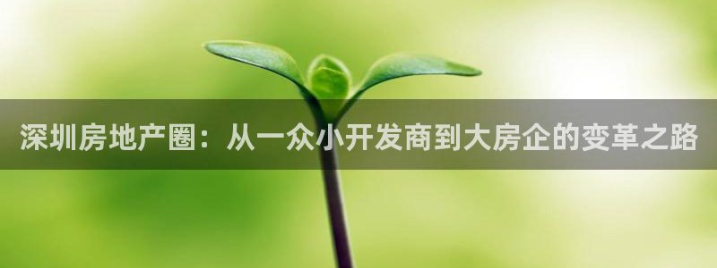 天狮娱乐主管：深圳房地产圈：从一众小开发商到大房企的变革之路