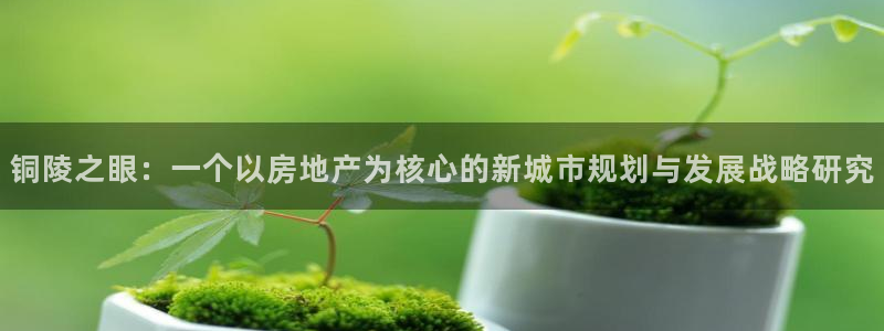 天狮娱乐主管29229：铜陵之眼：一个以房地产为核心的新城市