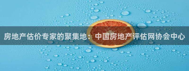 天狮娱乐主管29229：房地产估价专家的聚集地：中国房地产评