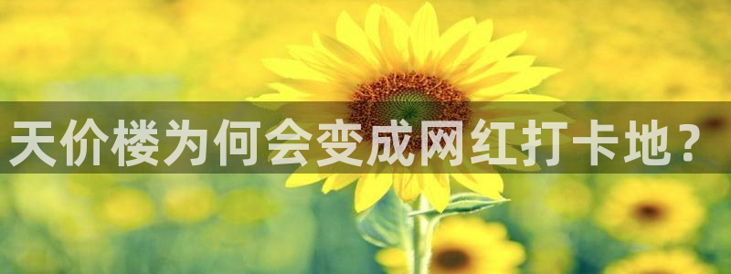 天狮娱乐 amp u招商35980