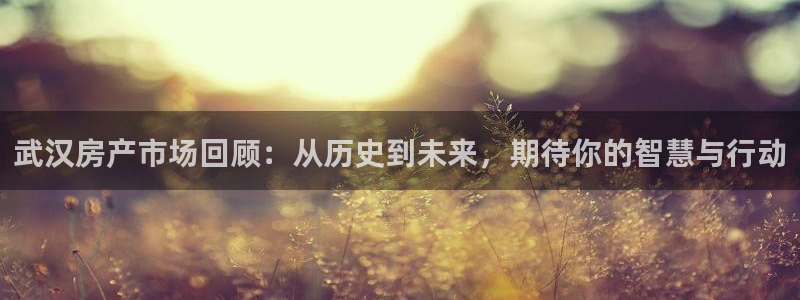 天狮娱乐返点：武汉房产市场回顾：从历史到未来，期待你的智慧与