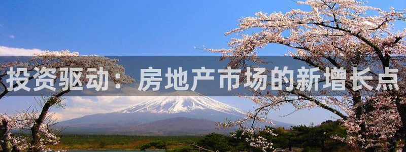 天狮娱乐购彩：投资驱动：房地产市场的新增长点