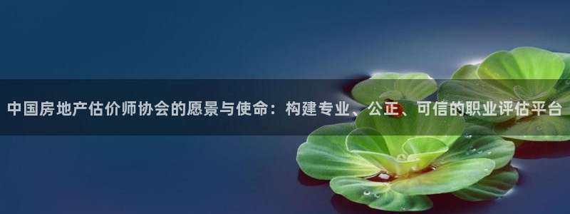 天狮娱乐靠谱吗：中国房地产估价师协会的愿景与使命：构建专业、