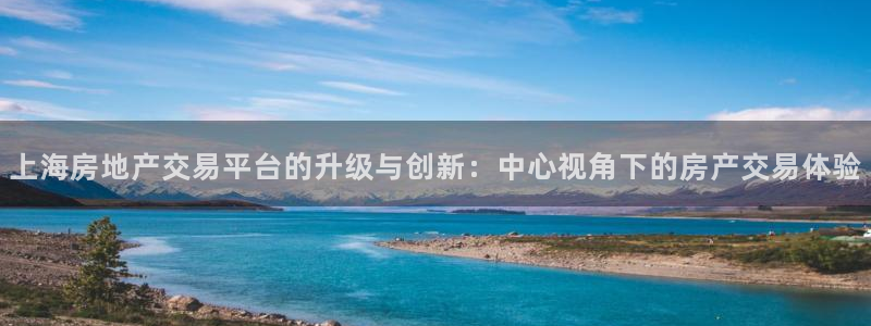 狮山天豪娱乐会所怎么样：上海房地产交易平台的升级与创新：中心