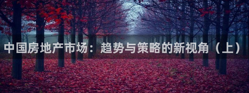 天狮娱乐开户：中国房地产市场：趋势与策略的新视角（上）