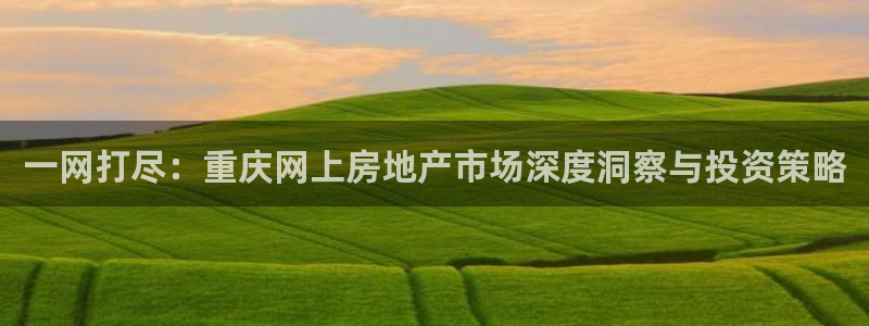 天狮娱乐股东待遇：一网打尽：重庆网上房地产市场深度洞察与投资