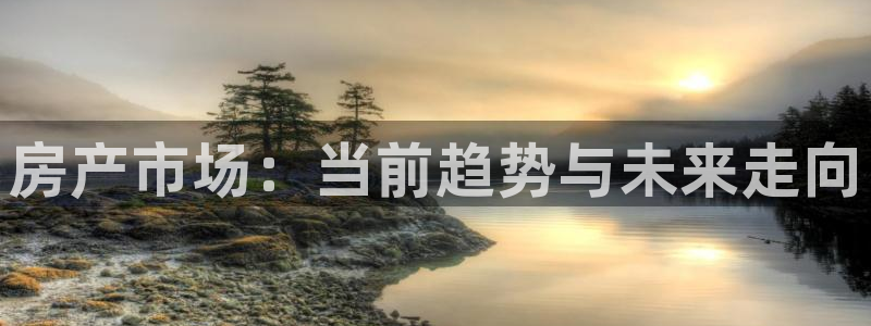 天狮娱乐主管29229：房产市场：当前趋势与未来走向