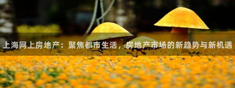 天狮娱乐主管汽车之家：上海网上房地产：聚焦都市生活，房地产市
