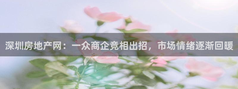 天狮娱乐负责人：深圳房地产网：一众商企竞相出招，市场情绪逐渐