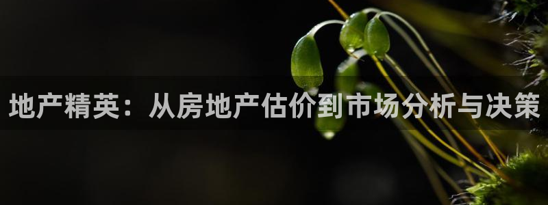 天狮娱乐a.主管57661：地产精英：从房地产估价到市场分析