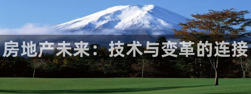 天狮国际娱乐平台：房地产未来：技术与变革的连接