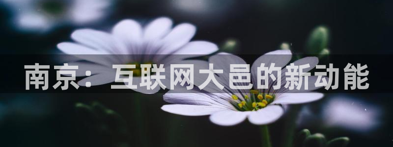 怎么注册天狮娱乐的账号：南京：互联网大邑的新动能