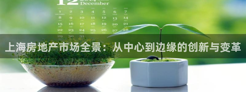 天狮娱乐 注：上海房地产市场全景：从中心到边缘的创新与变革