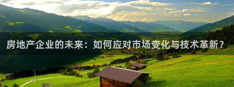 天狮娱乐 卧j主管60447：房地产企业的未来：如何应对市场