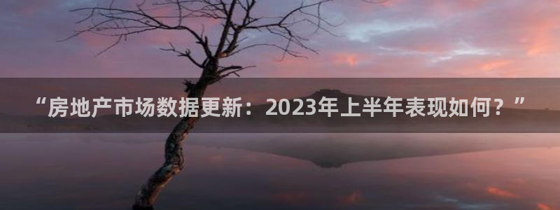 天狮娱乐 148-27：“房地产市场数据更新：2023年上半