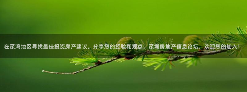 天狮娱乐分分彩平台：在深湾地区寻找最佳投资房产建议，分享您的