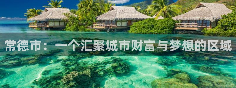 天狮娱乐所：常德市：一个汇聚城市财富与梦想的区域