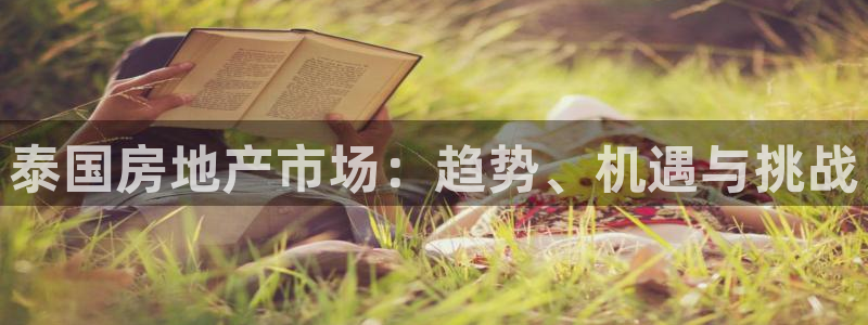 天狮娱乐炔wx15 net：泰国房地产市场：趋势、机遇与挑战