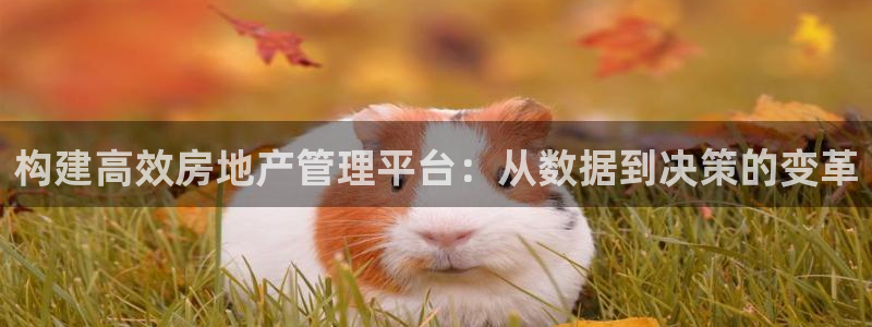 天狮娱乐注册登录：构建高效房地产管理平台：从数据到决策的变革