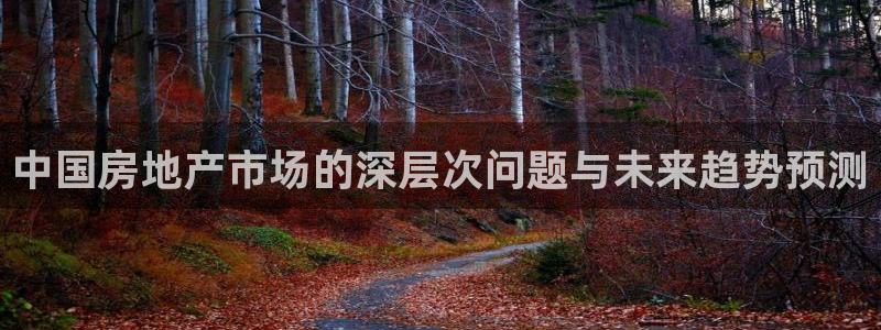 天狮学院娱乐设施：中国房地产市场的深层次问题与未来趋势预测