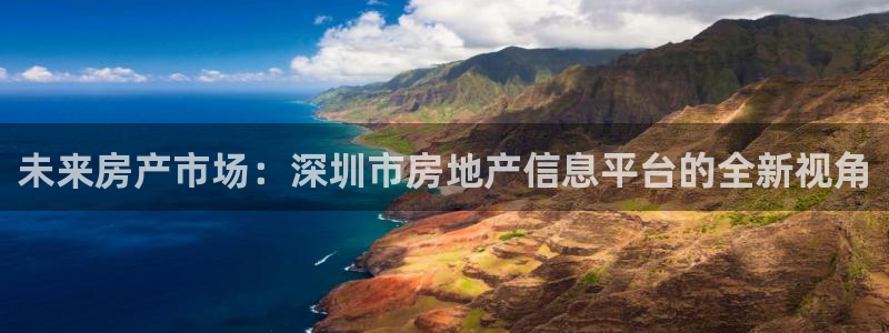 天狮娱乐主管q42862s：未来房产市场：深圳市房地产信息平